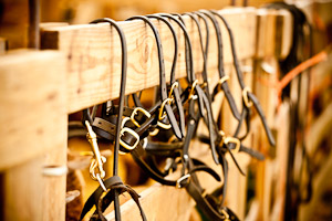 2011 Royal Norfolk Show